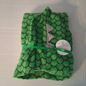 Green Dinosaur Hooded Blanket/poncho/towel